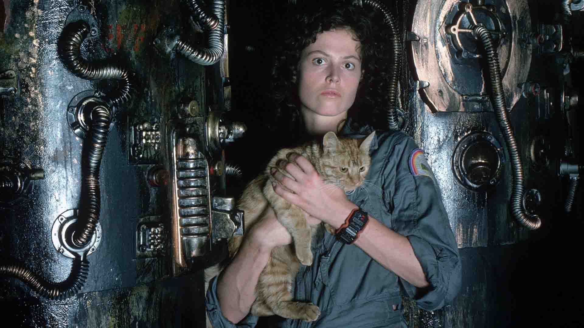 سیگورنی ویور همراه با یک گربه در سفینه در فیلم Alien